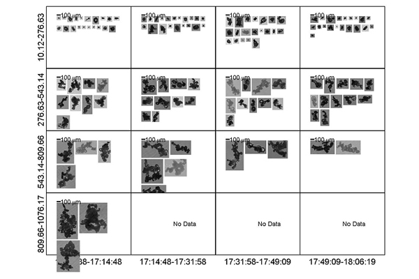 Some CPI data collected during an ACTIVE flight through anvil cirrus cloud.